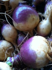 Purple Top turnips