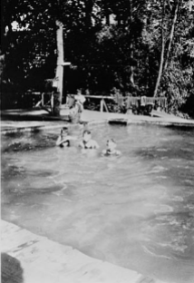 Bluffton swimming pool